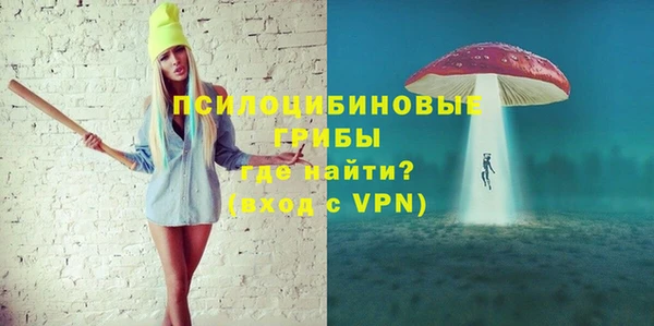 соль ск Алексеевка