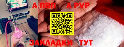 шишки Новодвинск