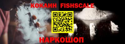шишки Новодвинск