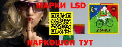 шишки Новодвинск