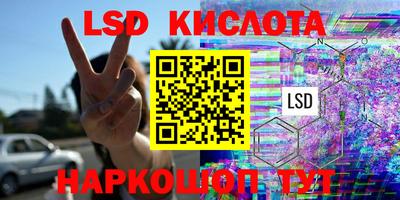 шишки Новодвинск