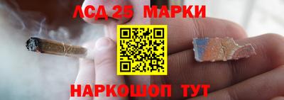 шишки Новодвинск