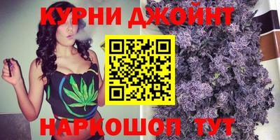 сатива Новокубанск
