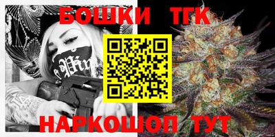 шишки Новодвинск