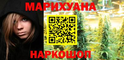 сатива Новокубанск
