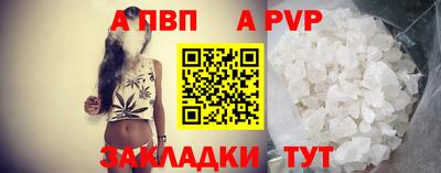 шишки Новодвинск