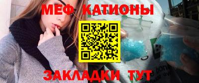 шишки Новодвинск