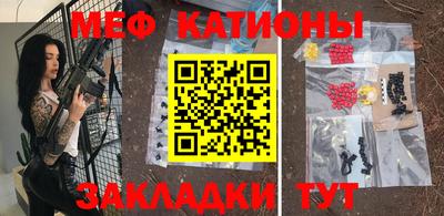 шишки Новодвинск