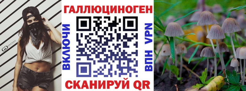 Псилоцибиновые грибы GOLDEN TEACHER  Иркутск 