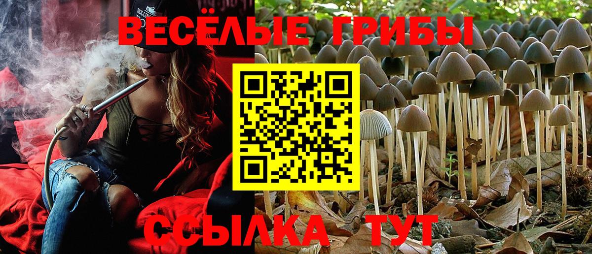 Псилоцибиновые грибы Psilocybine cubensis  купить наркотики сайты  Псилоцибиновые грибы Psilocybine cubensis  Иркутск  Вход с VPN 